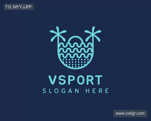 关于VSport